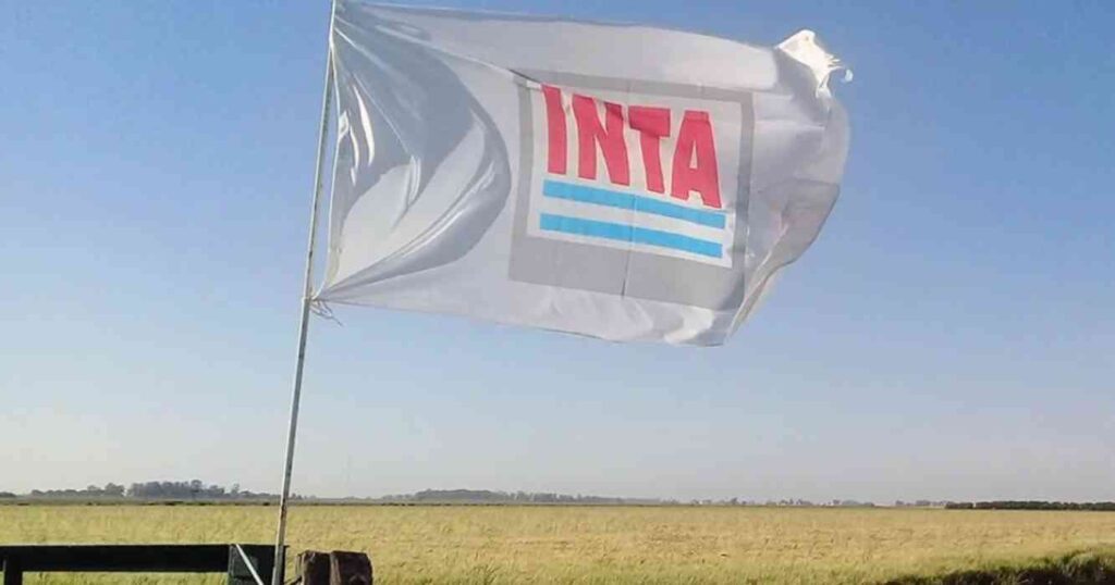 INTA, reestructuración