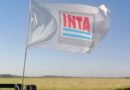 INTA, reestructuración