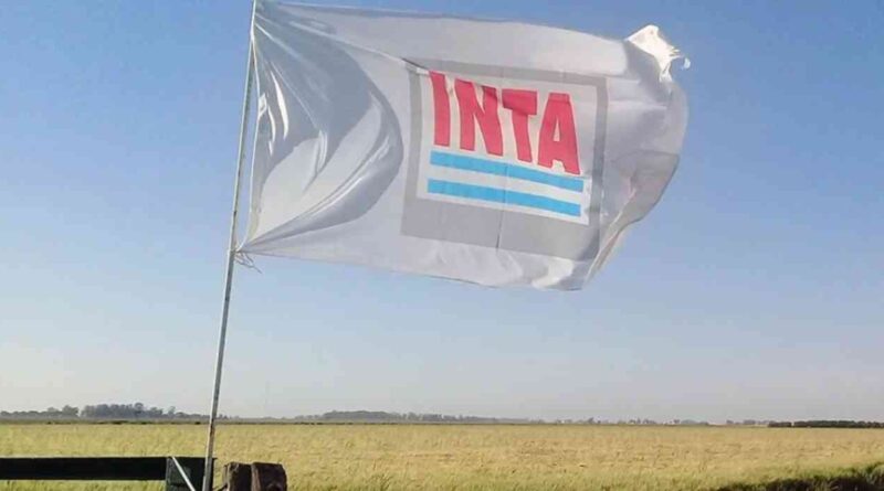 INTA, reestructuración
