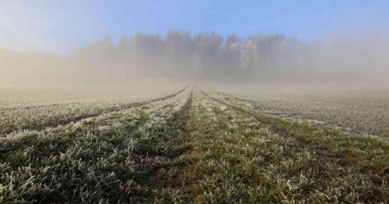 Invierno