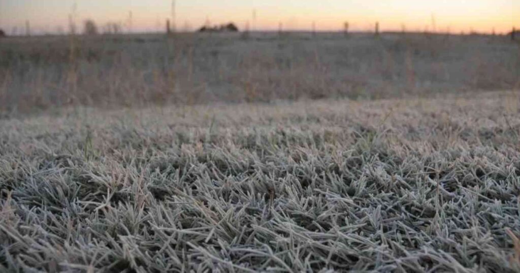 Invierno