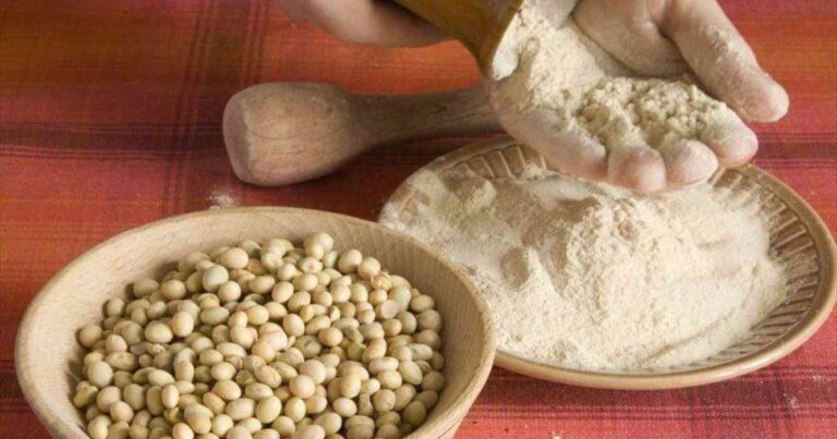 China, Soja, harina de soja, campo