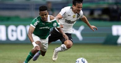 Palmeiras, Botafogo, Mundial de Clubes