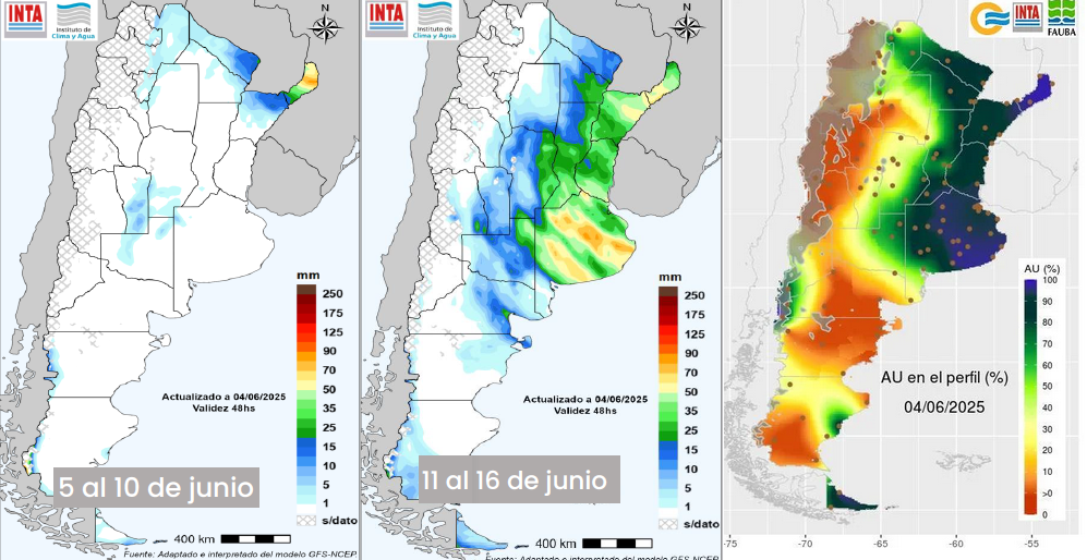Clima, campo