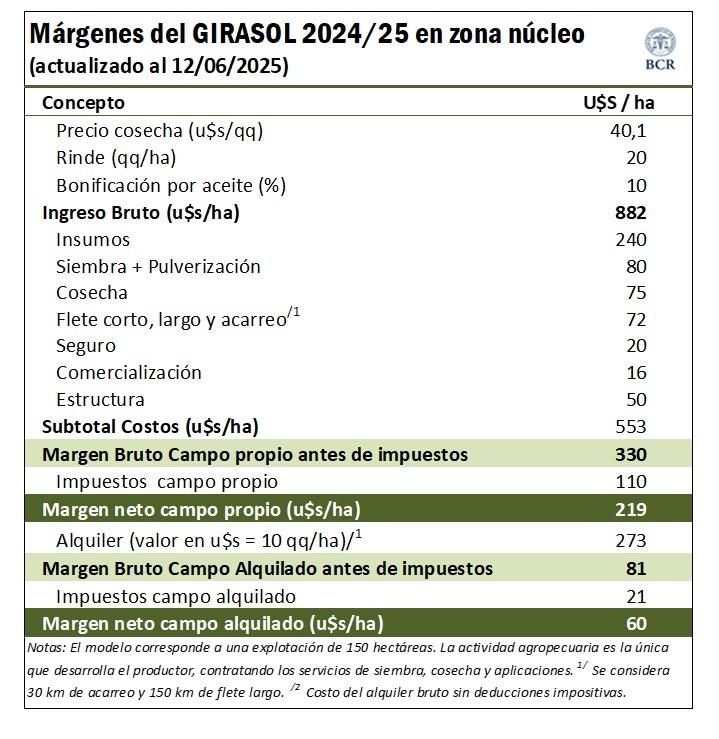girasol