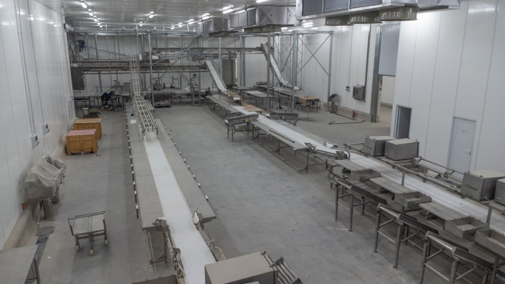 Ganadería, industria porcina