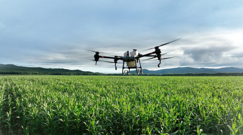 Drones Agrícolas, polilla de la vid