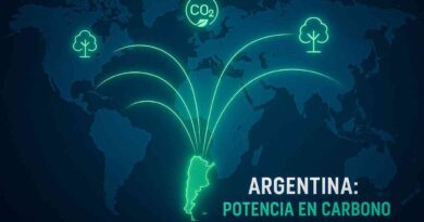 Carbono, créditos, Argentina