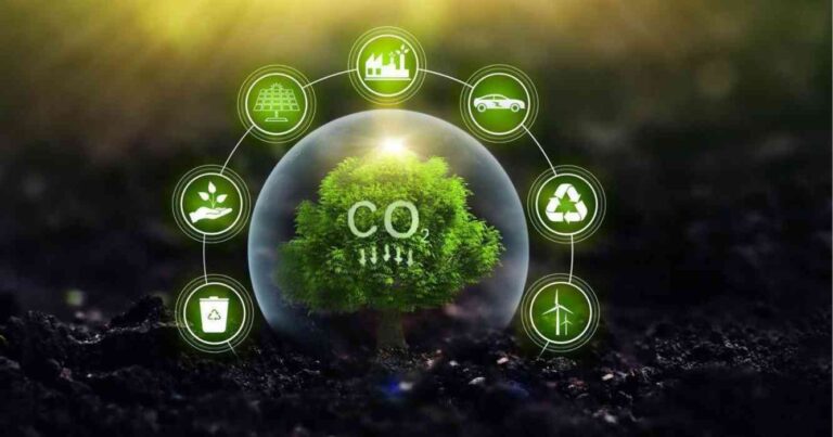 Carbono, créditos, Argentina