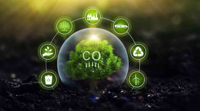 Carbono, créditos, Argentina