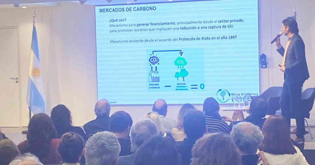 Carbono, créditos, Argentina