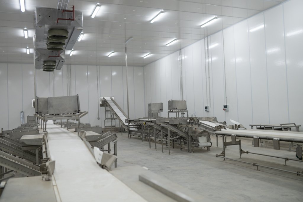 Ganadería, industria porcina
