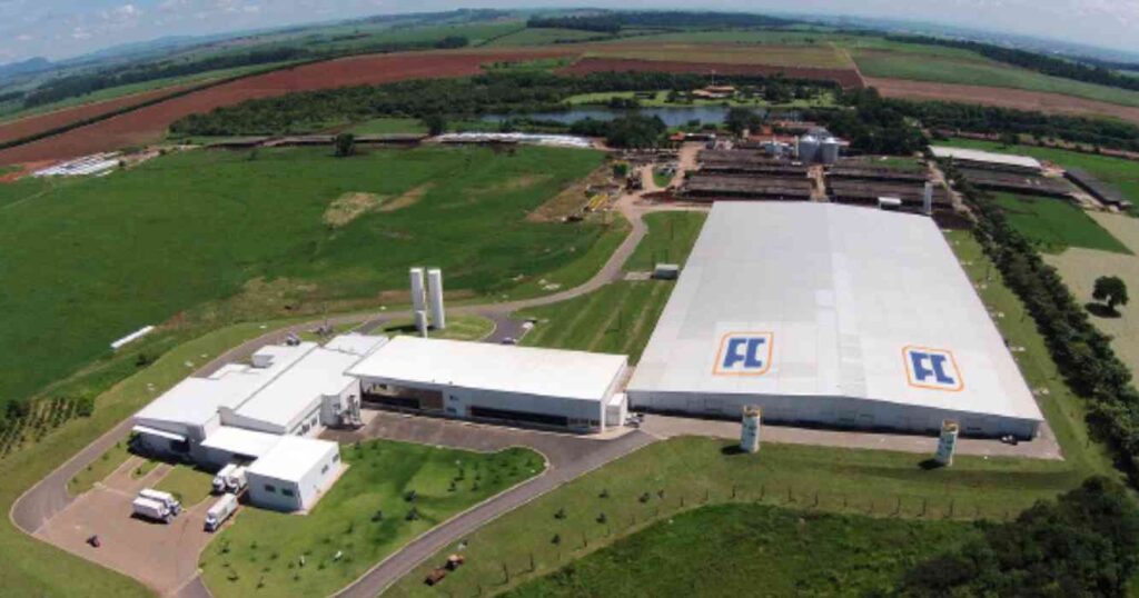 Tambo, brasil