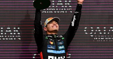 Lando Norris, Fórmula 1, SIlverstone