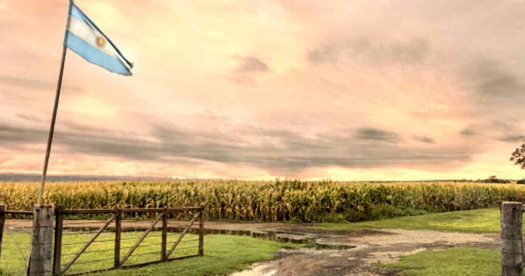 9 de julio, feriado, día de la independencia, campo