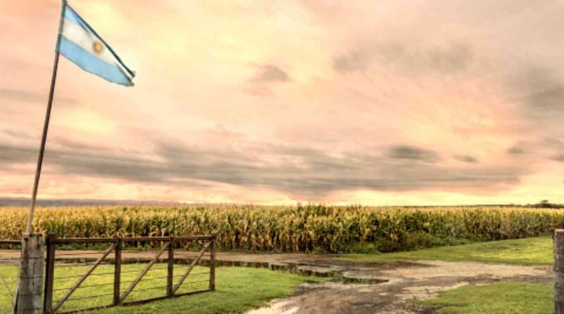 campo, 9 de julio, feriado, día de la independencia, campo