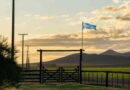 9 de julio, feriado, día de la independencia, campo