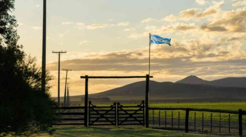9 de julio, feriado, día de la independencia, campo