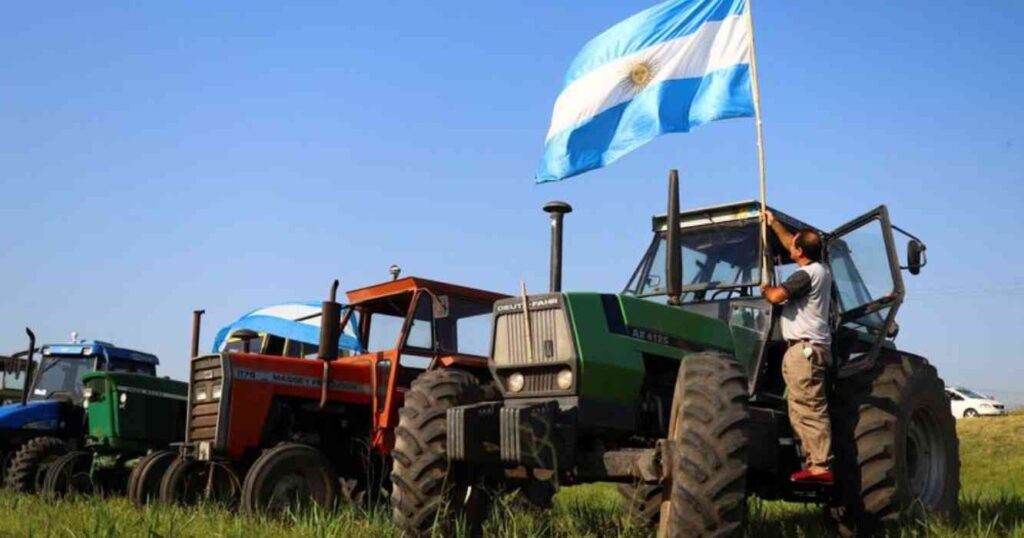9 de julio, feriado, día de la independencia, campo