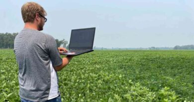 Tecnología, inteligencia artificial, plataforma