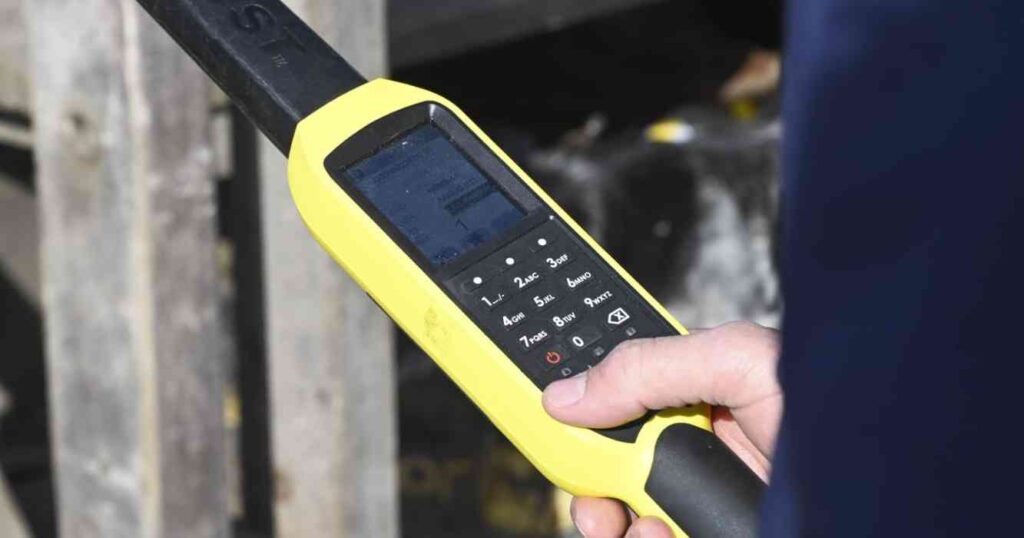 ganadería, trazabilidad electrónica, identidad animal