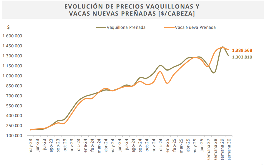 Ganadería, cría, invernada