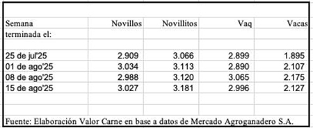 Cañuelas, inflación, novillo