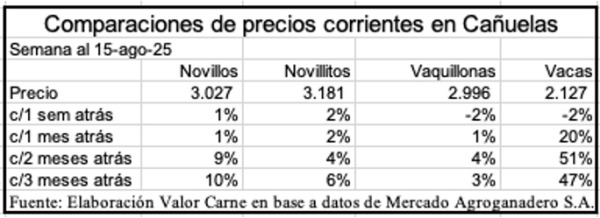 Cañuelas, inflación, novillo
