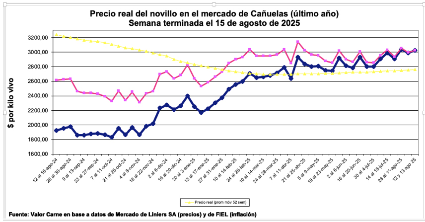 Cañuelas, inflación, novillo