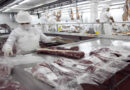 Alimentos, Sello Argentino, Exportaciones, Carne bovina, subproductos de origen animal