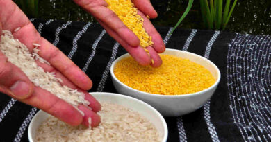 Biofortificación, Alimentos