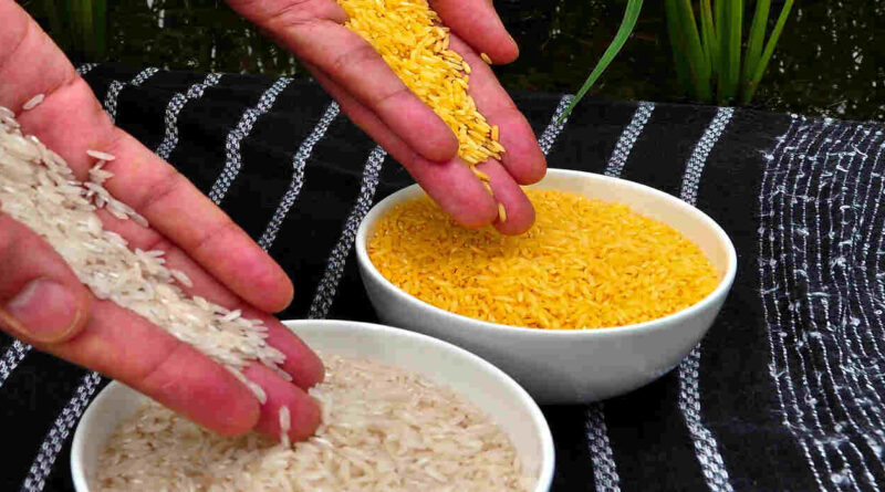 Biofortificación, Alimentos