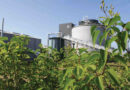 biocombustibles, Coninagro