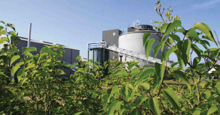 biocombustibles, Coninagro