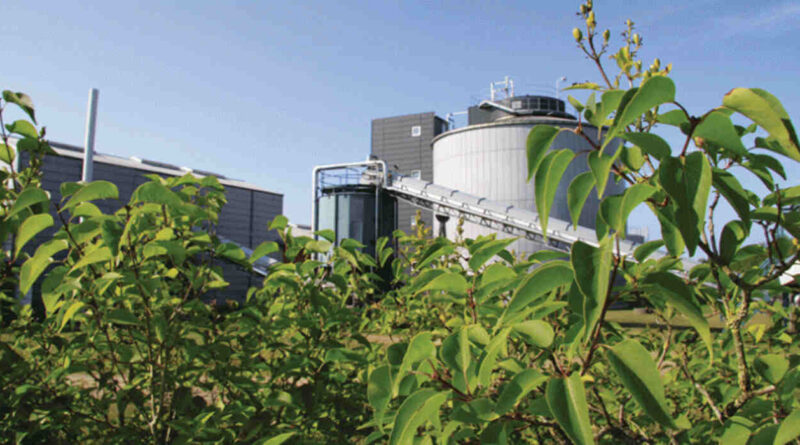 biocombustibles, Coninagro