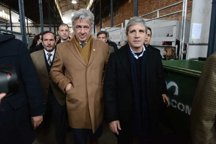 Luis Caputo, Nicolás Pino, Campo