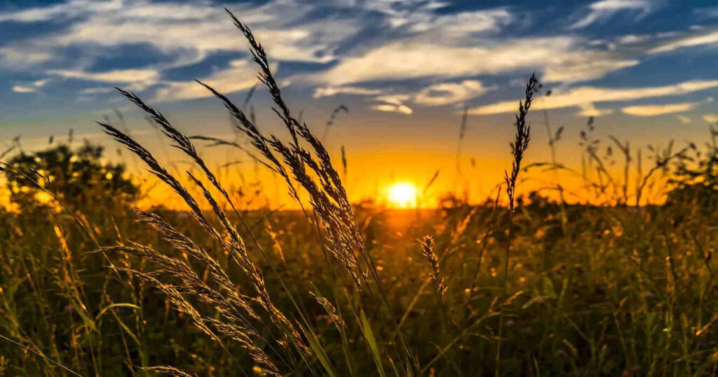 Clima, Sol, Campo, Atardecer