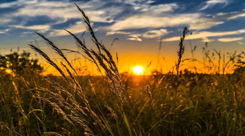 Clima, Sol, Campo, Atardecer