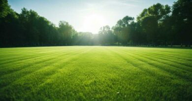 Clima, Sol, Estabilidad, Campo