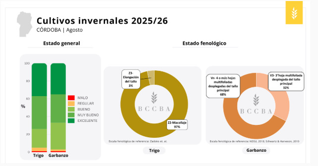 Córdoba, Lluvias, Trigo, Garbanzo
