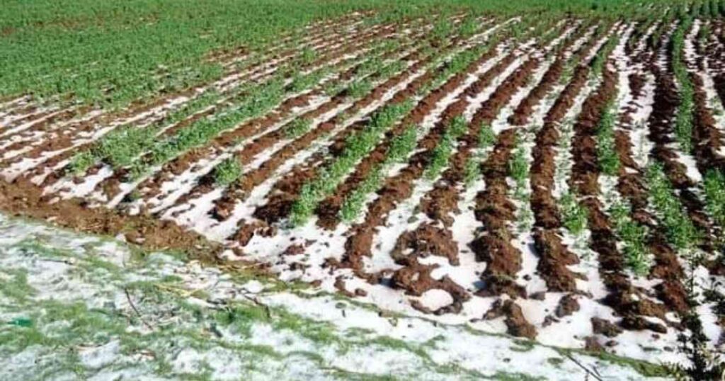 Lluvias, zona núcleo
