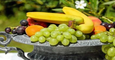 Fruta, Cosecha, Exportaciones
