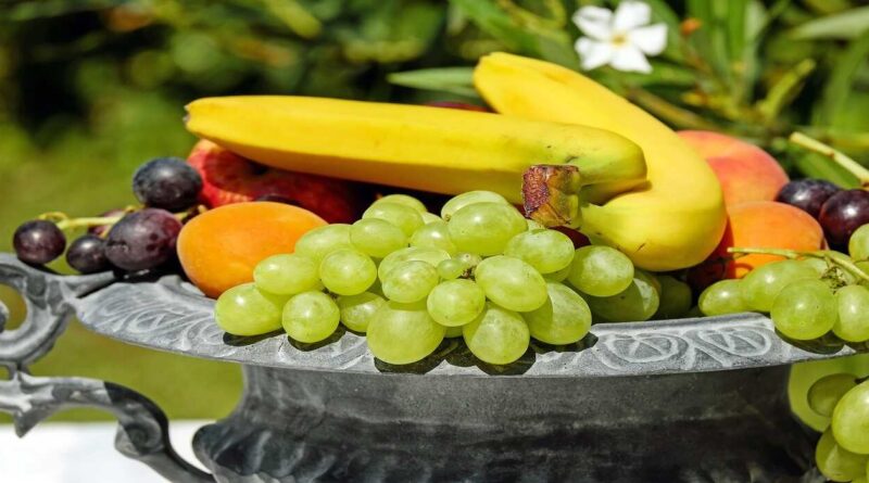 Fruta, Cosecha, Exportaciones