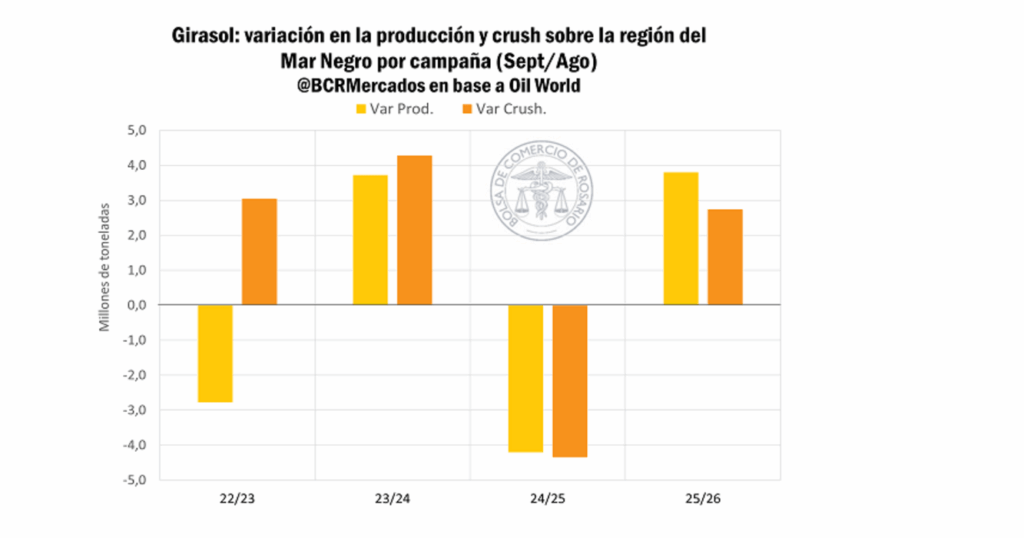 Girasol, Informe, Producción