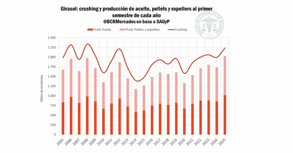 Girasol, Informe, Rosario