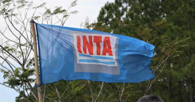 INTA, Bandera