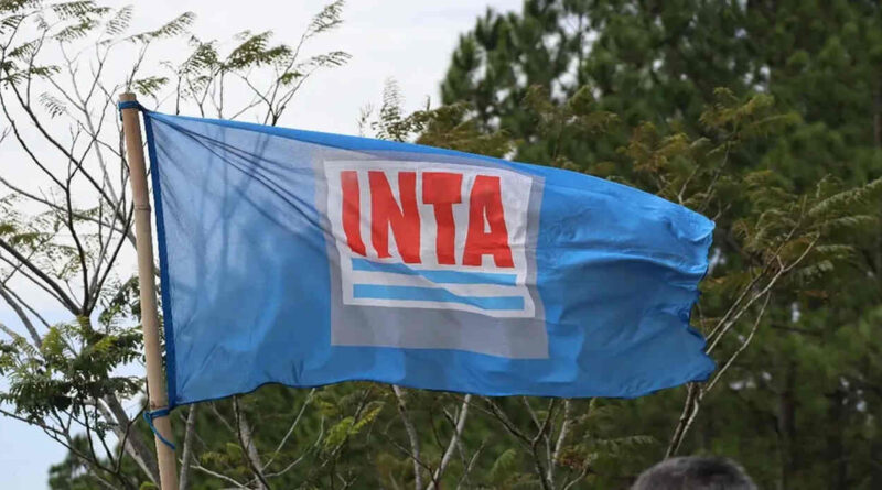 INTA, Bandera