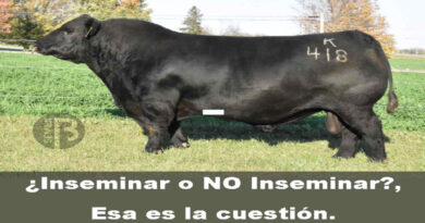 Inseminación Artificial, Semex