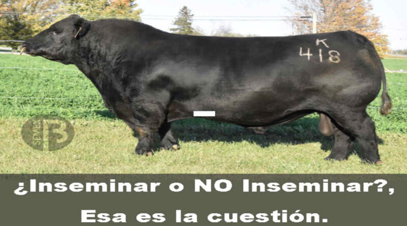 Inseminación Artificial, Semex