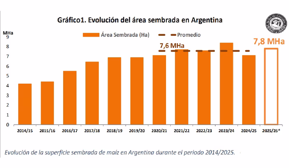 Maíz, agricultura